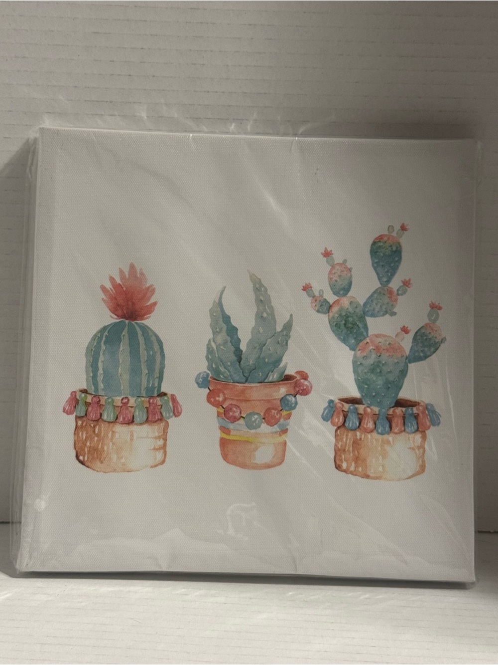 Special Moments Wall Art Succulents
